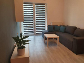 Apartament Piękna blisko centrum